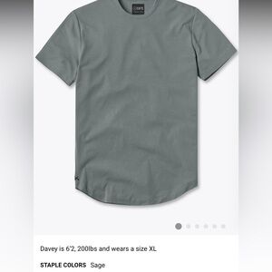 NWT Cuts AO Curve Hem Tee - Sage